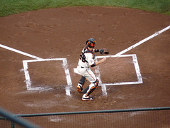 Buster Posey