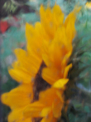 Available Texture