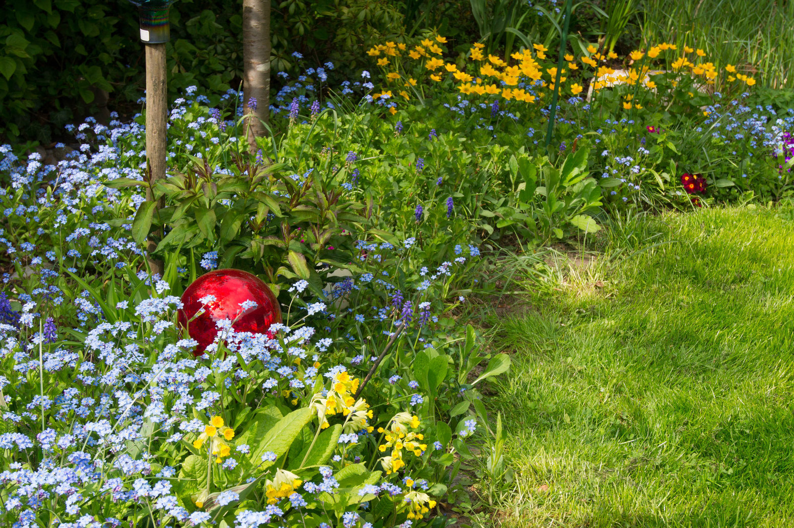 Garten DSC00076