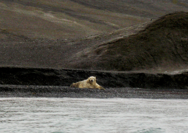 Waiting... For a Better Climate...