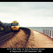 43151 Blue Peter - Teignmouth - 25.9.1988