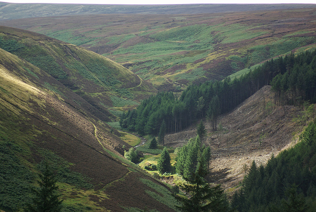 Ashop Clough