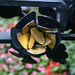 Detail eines Grabmals