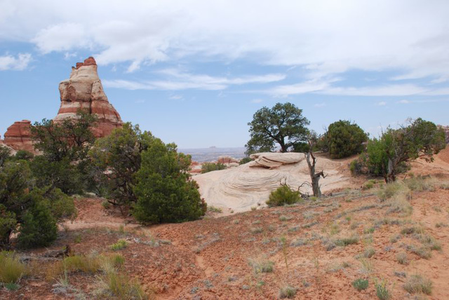 Temple-Swirl-Dead Tree Tableau