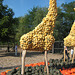 Kürbis-Giraffe - in Klaistow