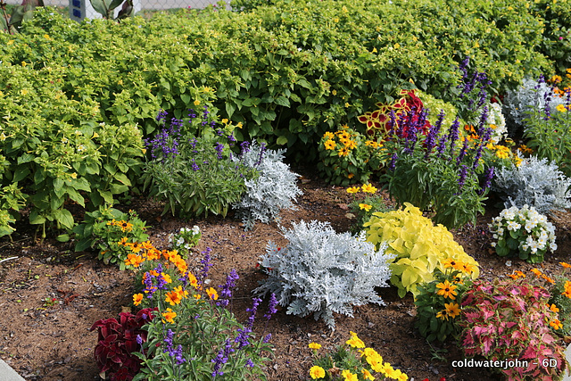 Esterhazy Palace Garden Detail