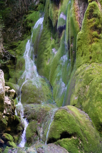 Cascade verte