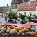 Rust, Burgenland, Austria