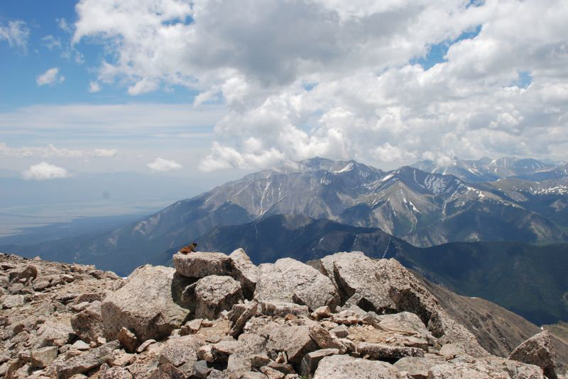 The Marmot and the Mountain