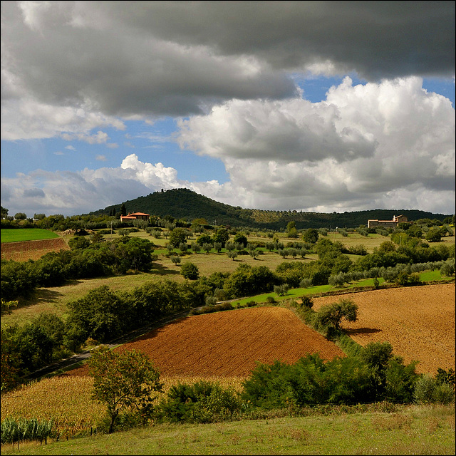 Autumnal landscape.