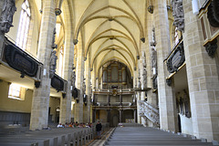 Halle (Saale) 2013 – Dom zu Halle – Nave