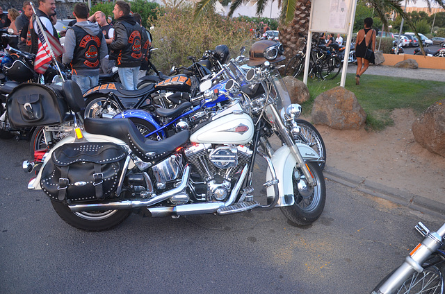 harley2013 (56)