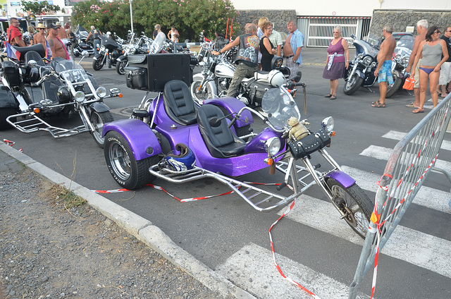 harley2013 (36)