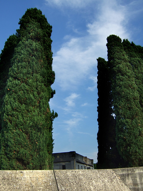 Tomba Brion. Muro di cinta, cipressi e cappella.