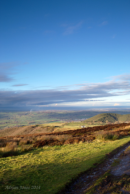 Late Afternoon Sunshine.