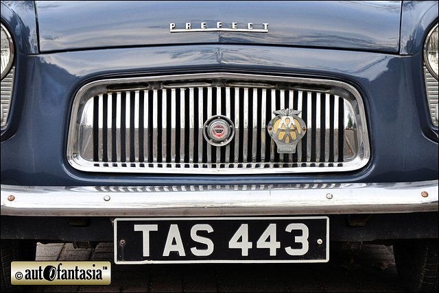 1958 Ford Prefect - TAS 443