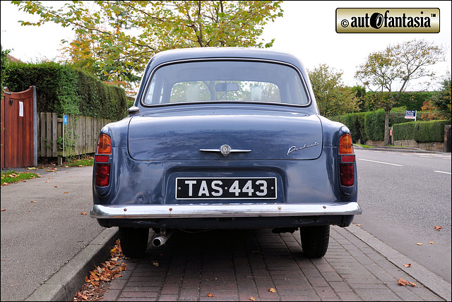 1958 Ford Prefect - TAS 443