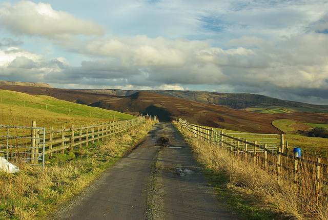 view to Kinder