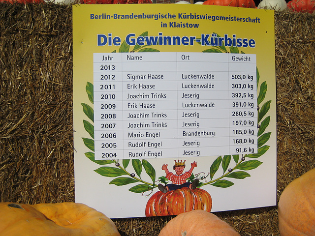 Gewinner- Kürbisse ab 2004 in Klaistow