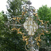 München - Winthirfriedhof