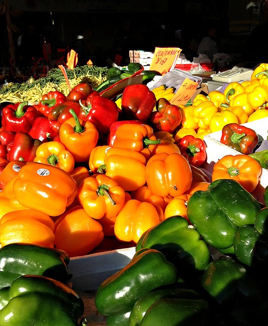 Couleurs, saveurs & odeurs