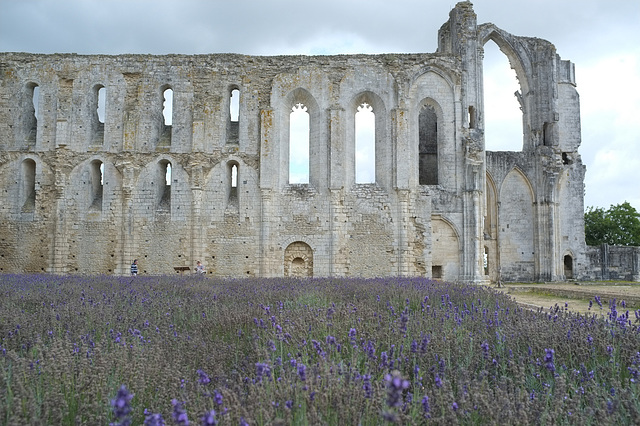 Ruines de l'abbatiale de Maillezais