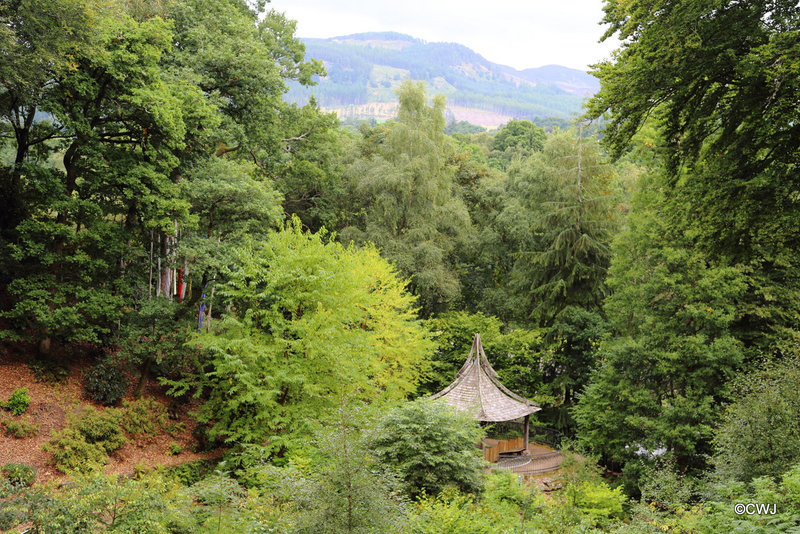 The Scottish Explorers' Garden at Faskally