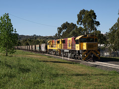 201309TmbaCarnivalRail 046