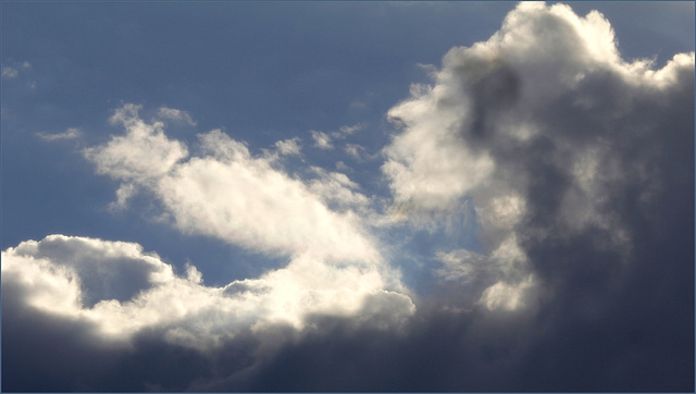 La tête dans les nuages.....