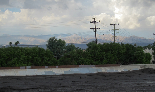 Palm Springs Palm Canyon Wash (4540)