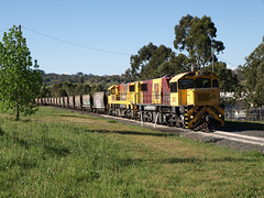 201309TmbaCarnivalRail 047