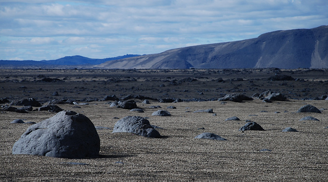 In the Wastelands