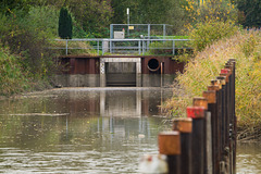 Freiburg an der Elbe DSC03245.jpg