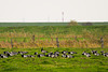 20131019-DSC03337.jpg
