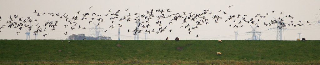 20131019-DSC03344.jpg