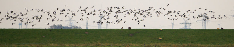 20131019-DSC03344.jpg