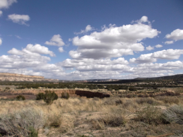 Blurry landscape / Paysage flou.