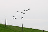20131019-DSC03366.jpg