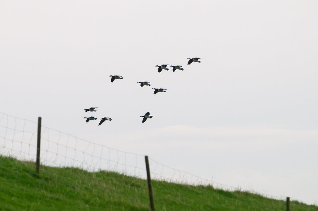 20131019-DSC03366.jpg