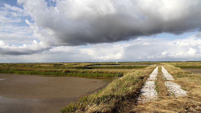 Chemin des claires