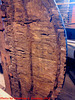 Original Rudder from S.S. Great Britain, Bristol, England (UK), 2012