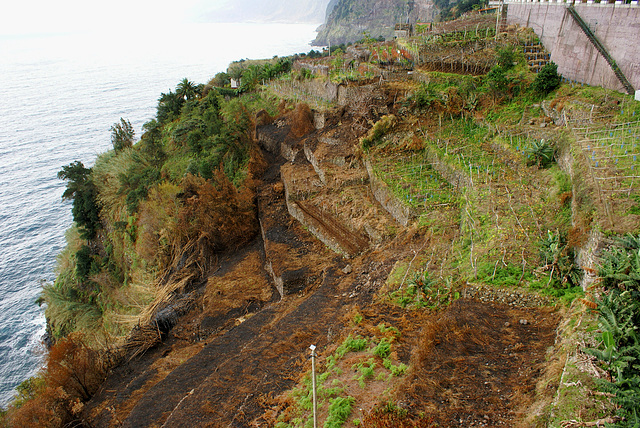 Tour: Ribeira Brava - Sao Vicente.  ©UdoSm