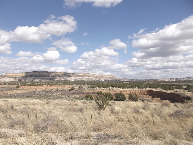 Paysages du Nouveau Mexique / New Mexico landscape.