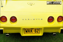1975 Chevrolet GMC Corvette - WAK 62