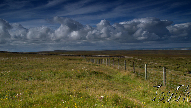 Caithness - Beautiful Wasteland