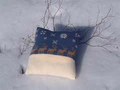 Reindeer Pillow