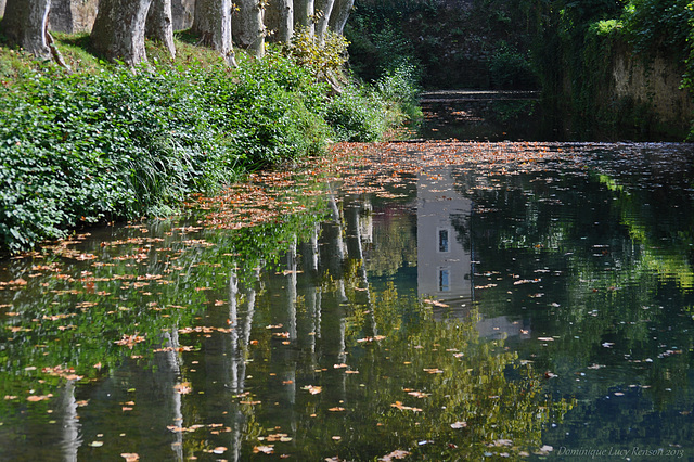 et revoilà l'automne