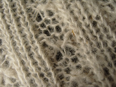 Alpaca from Österlen Alpaca from Österlen