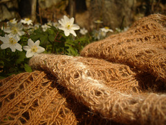 Taytacha detail Taytacha detail