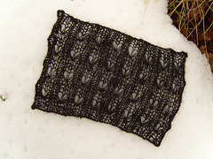 Alpaca from Österlen Alpaca from Österlen